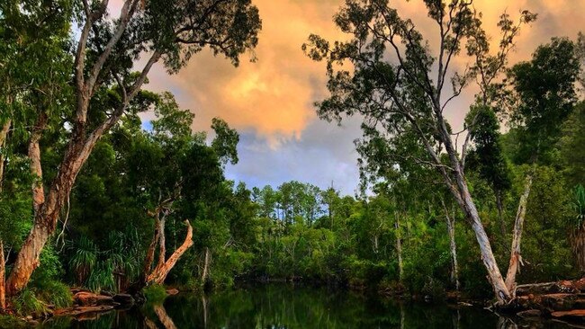 Visitors to Byfield National Park will be able to access the picturesque Stoney Creek easier when Stoney Creek Road is upgraded with joint Queensland and Federal government funding after the 2019 Queensland bushfires.