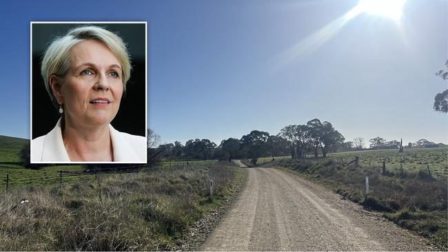 Tanya Plibersek and Blayney's road to ruin