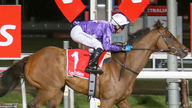 Durazzo (Kelvin Sanderson) winning in Launceston two starts ago. Photo: Bill Hayes