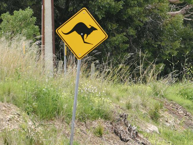 A Kangaroo sign is seen on the side of the road in Maslins, Monday September 4, 2017. (AAP Image/Morgan Sette)