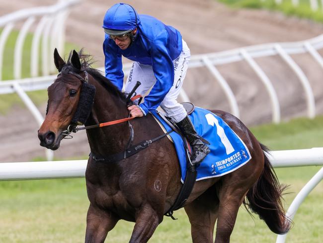 Damien Oliver returns to the mounting yard aboard Vianello after winning the Tile Importer Trophy at Caulfield Racecourse on October 16, 2021 in Caulfield, Australia. (George Sal/Racing Photos via Getty Images)