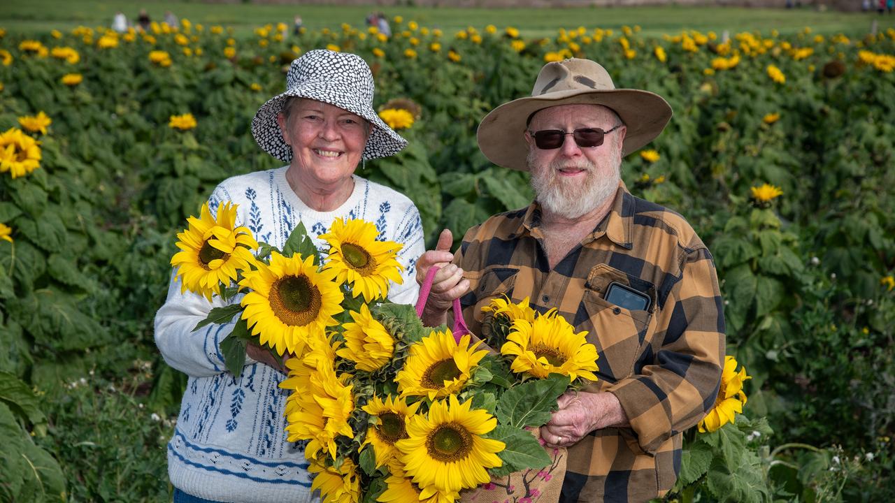 Toowoomba couple, Bob and Marj Goodwin take advantage of the beautiful winter weather to enjoy the Sunflower fields. Open day at Warraba Sunflowers, Cambooya. Saturday June 29th, 2024