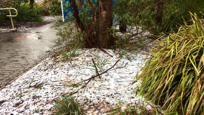 Light snow fell on Mt Lofty on Tuesday morning. Picture: ABC News, Spence Denny,