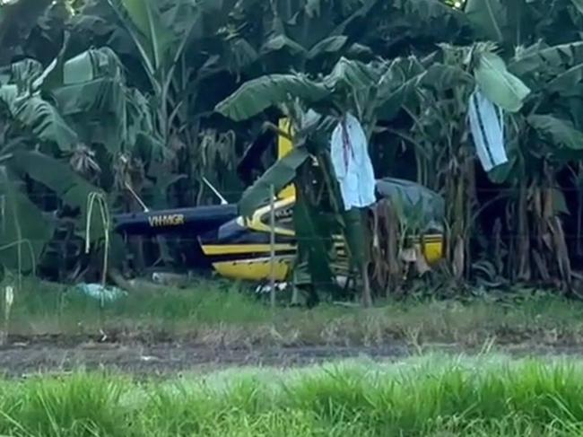 A helicopter crashed landed into a banana field at Wangan on the Cassowary Coast on Thursday, January 9. Picture: Supplied