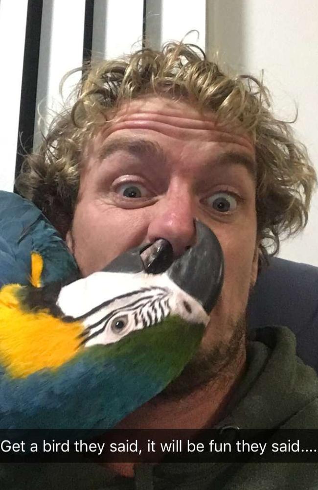 Dave Ryan hanging out with one of his pet parrots at home.