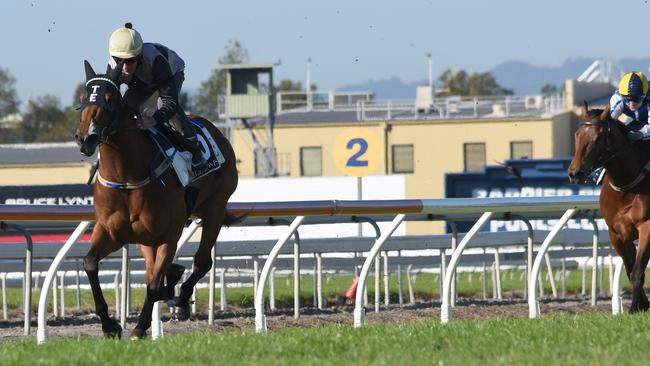 Magic Millions winner Houtzen wins a barrier trial at the Gold Coast. Photo: Greg Irvine.