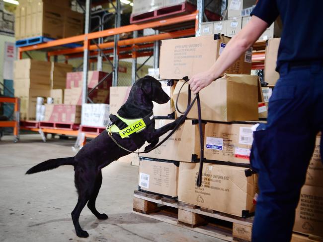                         <s1>Police dog Astra takes part in an exercise with Senior Constable Horwood</s1>. Picture: Justin Kennedy