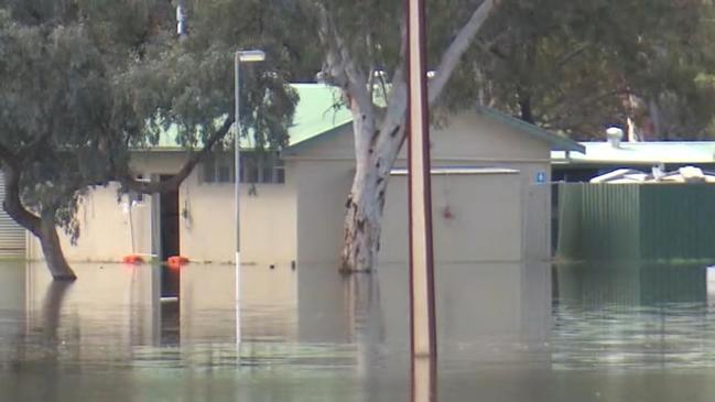 Flood waters at Loxton on November 7. Picture: 7NEWS.