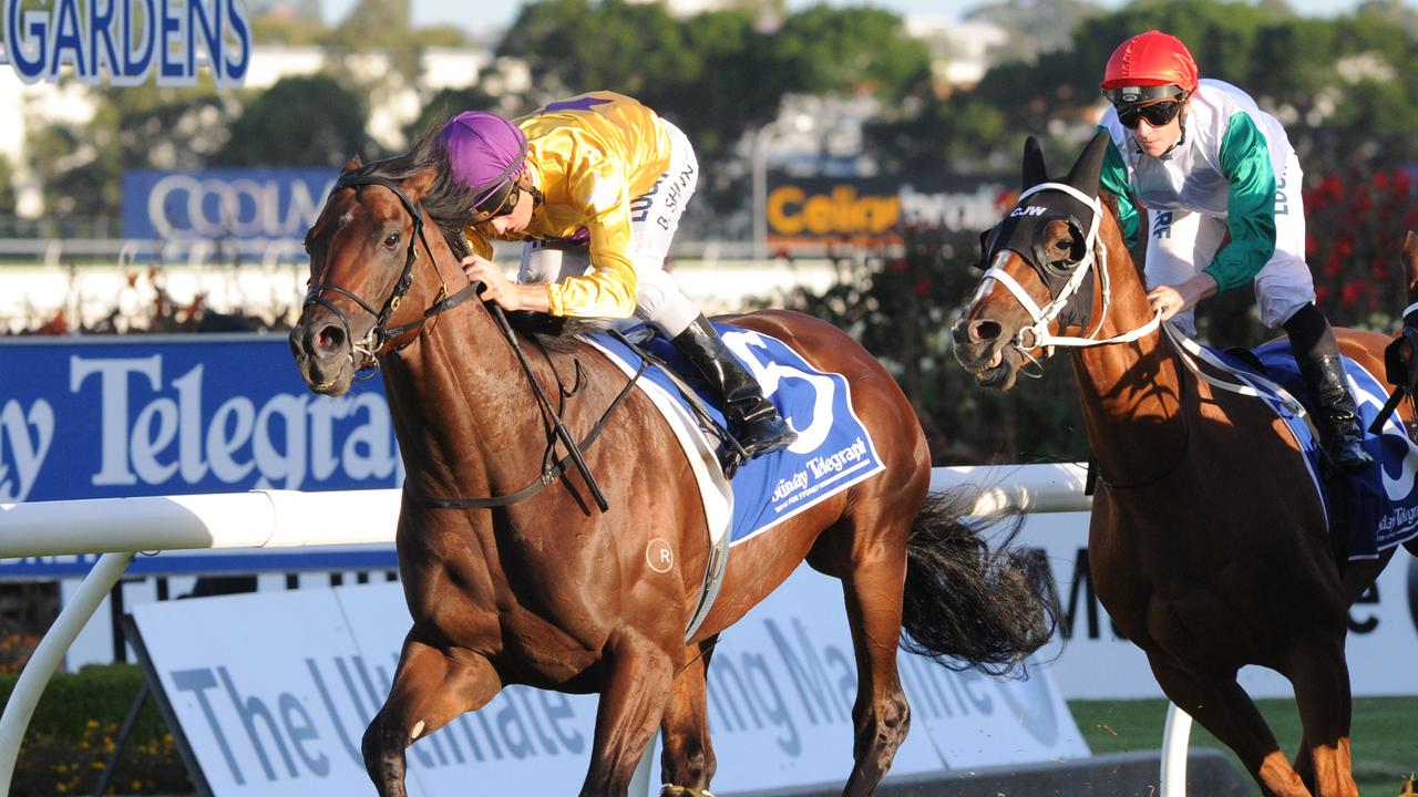 Photographer: Simon Bullard. Race 9 THE SUNDAY TELEGRAPH NEVILLE SELLWOOD STAKES (3YO&UP) - 2000m. Winner 'Pornichet' ridden by Blake Shinn.