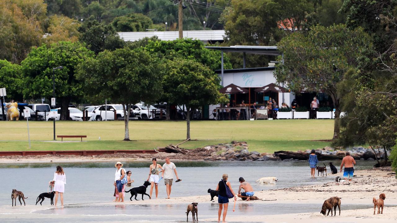 Dog walkers brave the rain at the Currumbin Creek Pirate Park at Palm Beach this morning as wet weather descended over the Gold Coast. Photo: Scott PowickNEWSCORP