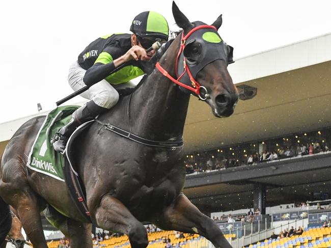 Private Eye wins the Festival Stakes at Rosehill Gardens on November 30, 2024. Picture: Bradley Photos