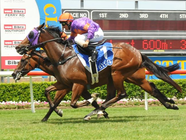 Jockey Nathan Thomas rode the Trevor Thomas-trained Atomic Missile to victory in the QTIS Three-Years-Old Maiden Plate (900m) on the Gold Coast on Saturday, February 4. Photo credit: Jessica Hawkins, Trackside Photography.