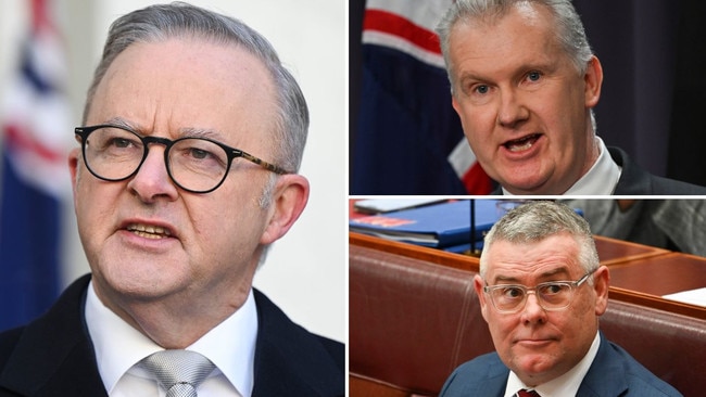 Anthony Albanese at Parliament House in Canberra on Monday; former workplace relations minister Tony Burke, above; his ministerial successor Murray Watt.