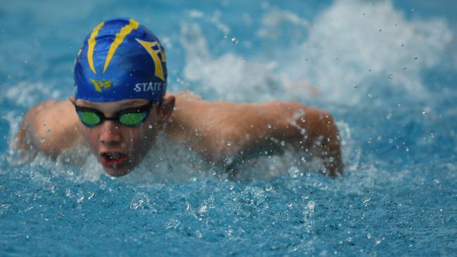 Gympie region champions of the pool: Caleb Pelling from Gympie Gold Fins. Photo: Contributed