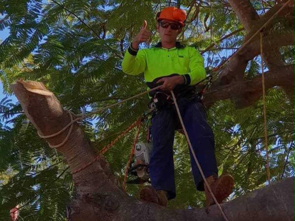 Martin Wheeler at work in his tree lopping business.