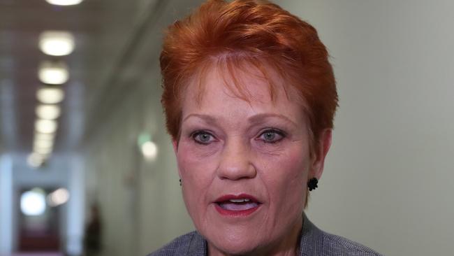 Senator Pauline Hanson criticised the actions of a nine-year-old who sat down for the national anthem at school. (Pic: Kym Smith)