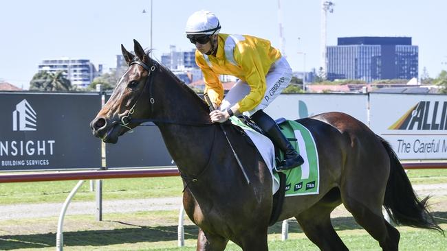 City Gold Ready has to show positive signs, says trainer Gerald Ryan. Picture: Bradley Photos