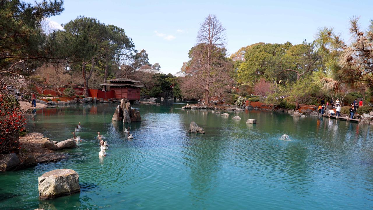 Auburn Botanic Gardens during the annual Cherry Blossom Festival in Auburn. (AAP IMAGE / Angelo Velardo)