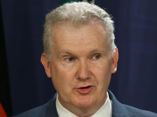 18/1/24: Minister for Employment and Workplace Relations Tony Burke is in Sydney today and will hold a press conference about the latest ABS Labour Force Figures. John Feder/The Australian.