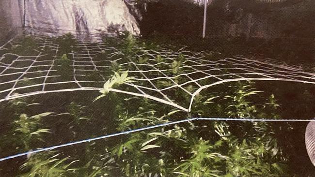 Inside the grow house raided by police. Picture: District Court.