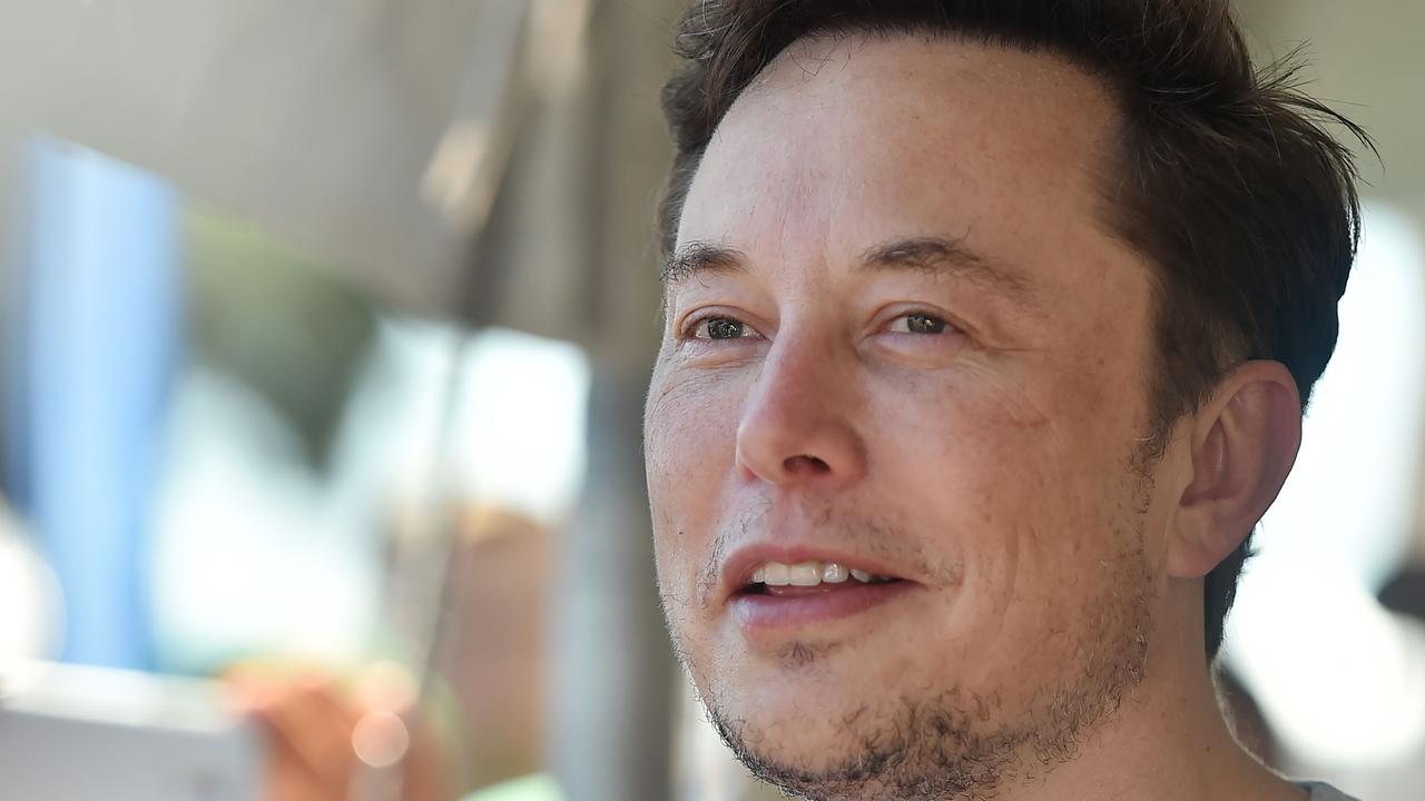 Elon Musk Announces New Tesla Technology To Keep Dogs Safe | News.com ...