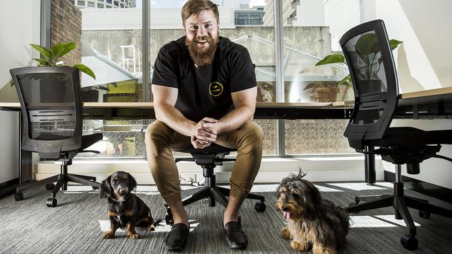 Little Tokyo Two founder Jock Fairweather and dogs Melted Cheese (left) and Chilli Dawg. Picture: Mark Cranitch.