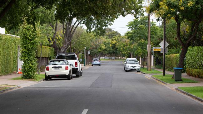 Neighbours were first alerted to the incident when emergency services arrived in the quiet suburban neighbourhood.