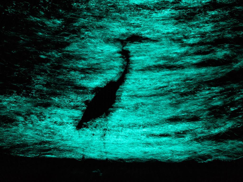 A Great blue heron fades away in the reflection of a green traffic light on the coast of Florida. With decreasing natural habitat, these birds often interfere with humans to get an easy meal. This image was the runner up in the wild portraits category. Picture: Robert Gloeckner/Nature TTL