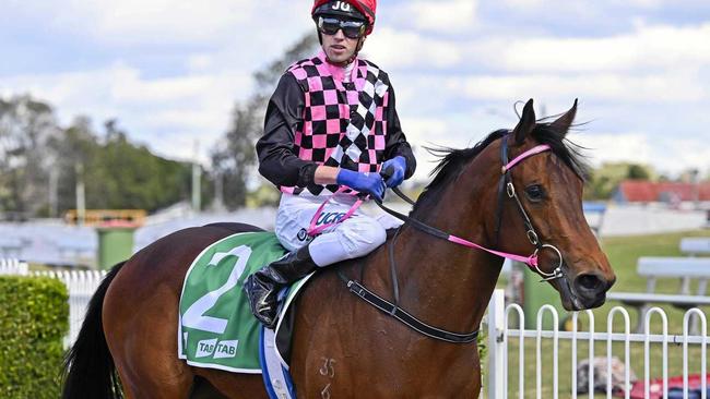 Winning jockey James Orman aboard Ziemba. Picture: Cordell Richardson