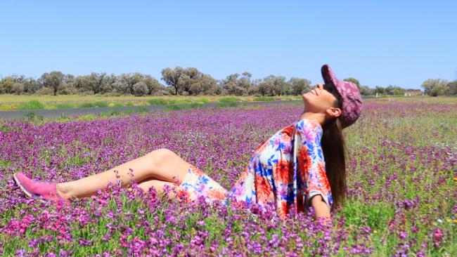 Bloomin’ marvellous! Tourists driven to see outback colours