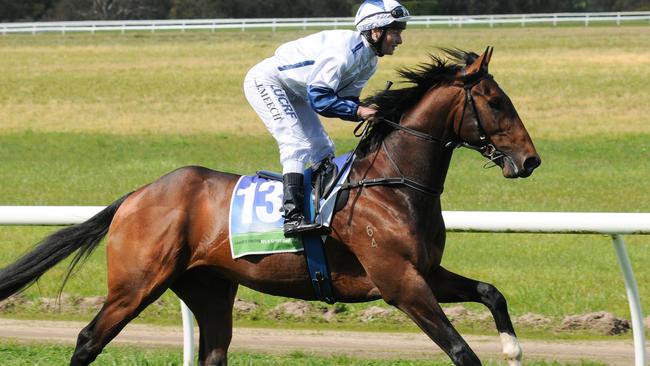 Greycliffe (NZ) ridden by Linda Meech goes out for the Heywood Stockfeeds Maiden Plate at Casterton Racecoure on September 10, 2017 in Casterton, Australia. (Bronwyn Nicholson/Racing Photos via Getty Images)