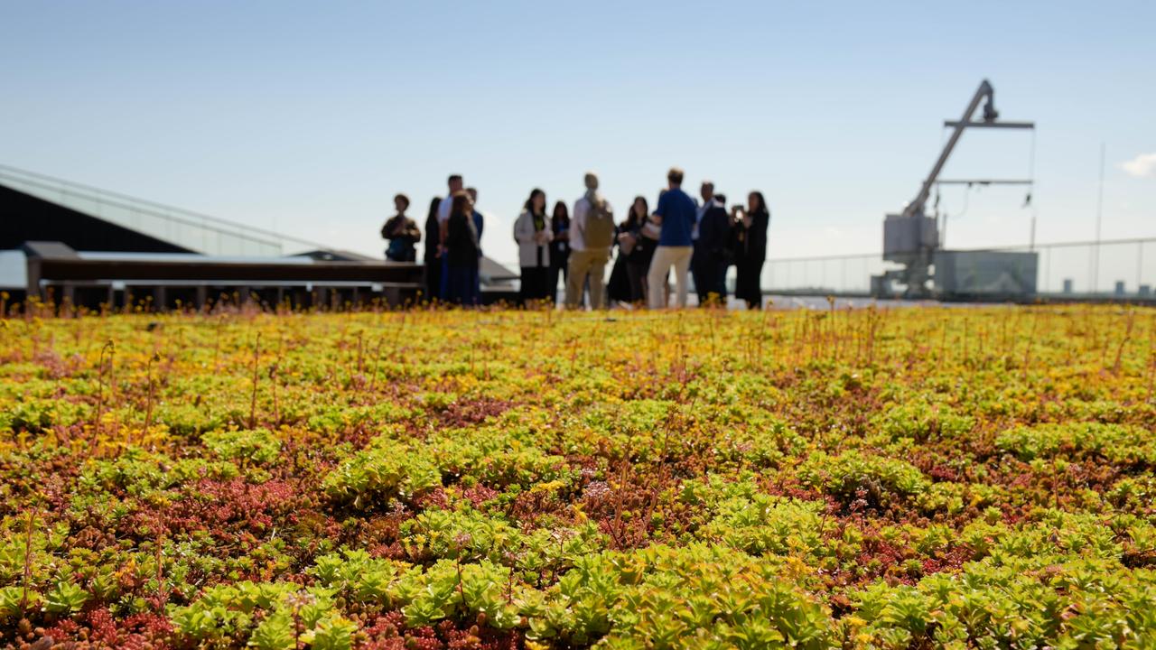 Booking.com headquarters in Amsterdam includes a roof garden. Picture: Supplied