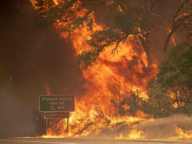 Trees burst into flame during the Carr fire near Whiskeytown, California. Picture: AFP