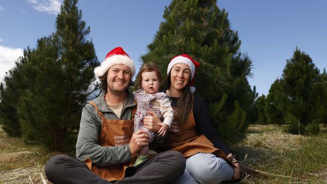 Christmas tree farmers Rohan and Jade Polanowski with daughter Zoe 9 months will celebrate their first Christmas as the owners of Richmond Christmas Tree Farm. Picture: Nikki Davis-Jones