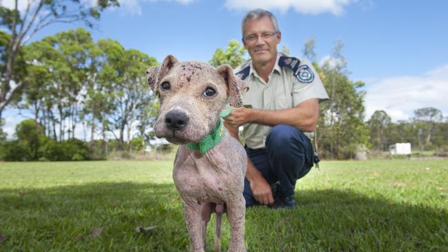 Animal Welfare League Inspector Ian Hughes with a sick puppy.