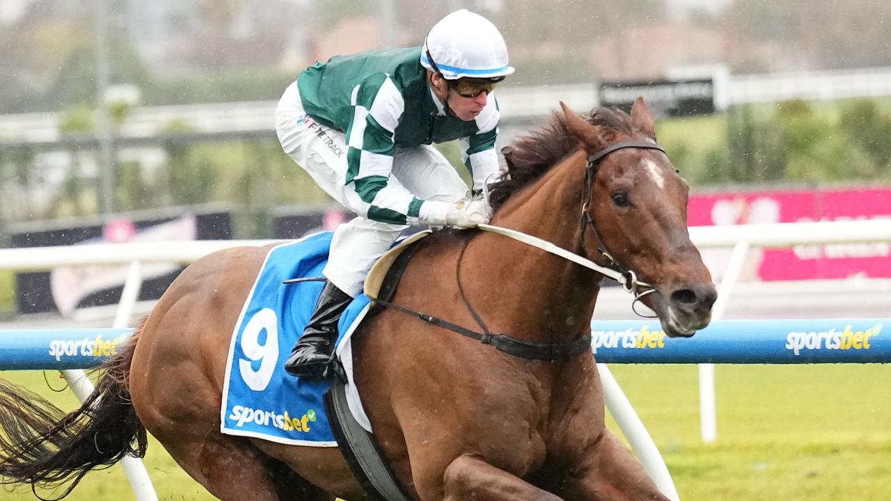 Familiar Flemington for First Settler’s first-up test