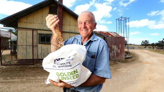 Organic certified farmer Huck Shepherd, of Kybybolite, is opposed to the lifting of the GM ban. Picture Tait Schmaal