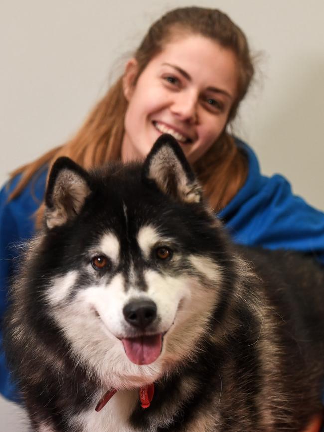 AAPS volunteers including Kierra Niewoudt rehomed a whopping 82 animals in April. Picture: Penny Stephens