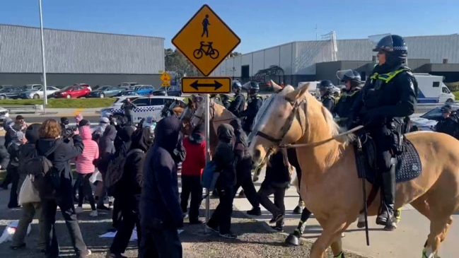 Mounted police face off against pro-Palestinian protesters