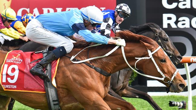 Durston has been ruled out of the Melbourne Cup. Picture: Racing Photos via Getty Images)\