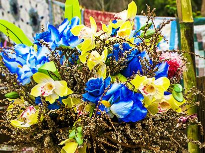 Nannup Flower and Garden Festival Nannup, WA For Life Open Garden Aug 8 Image supplied