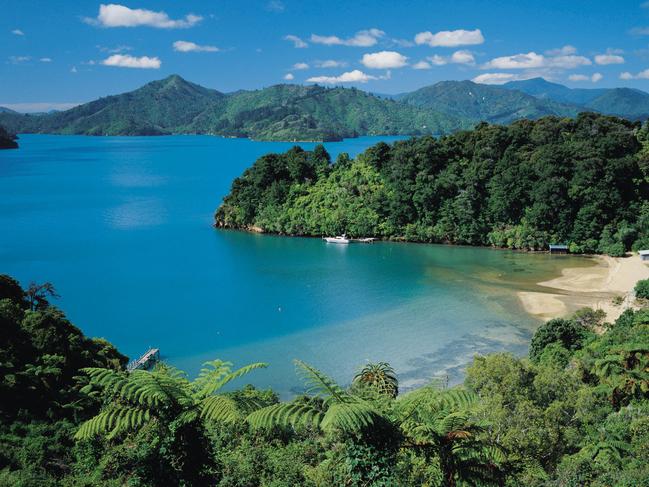 The lush verdant colours of Queen Charlotte Sound, Picton, New Zealand in a 2004 photo.