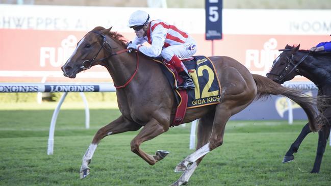 Giga Kick wins the All Aged Stakes at Randwick in 2023. Picture: Bradley Photos