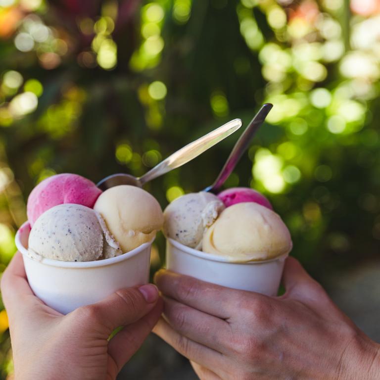 Enjoy a sweet treat from the Daintree Ice Cream Company. Picture: Tourism Tropical North Queensland