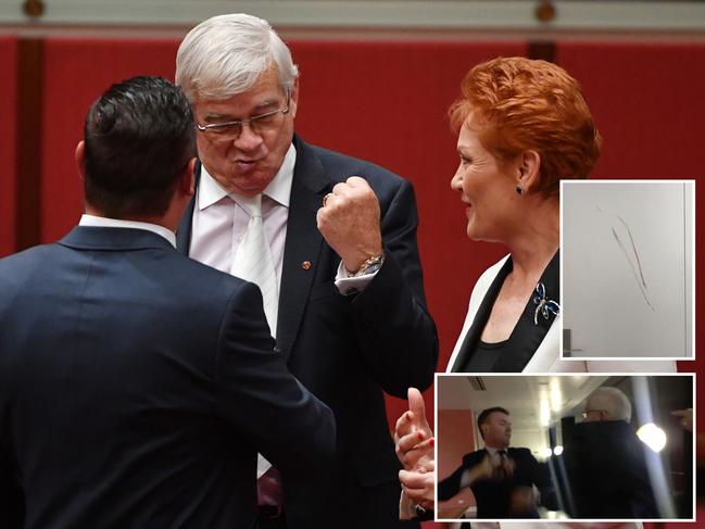 Ugly insults in One Nation implosion revealed in court