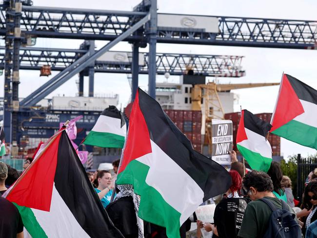 One of several protests against Israeli container ships docking at Port Botany since the outbreak of the Israel-Gaza war. Picture: David Gray / AFP