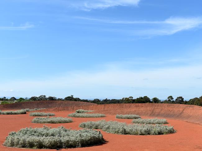 Royal Botanic Gardens Cranbourne. Picture: Jason Sammon