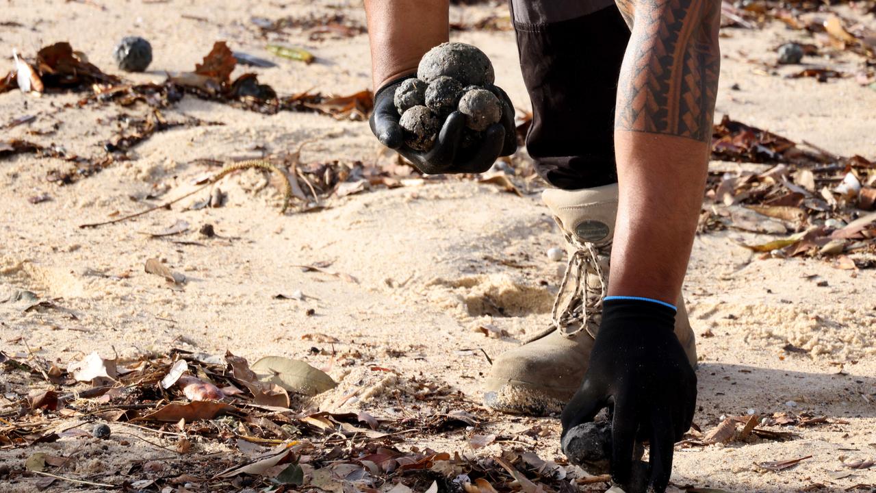 Council workers have to be careful not to come into contact with the balls when cleaning the beach. Picture: NewsWire/Damian Shaw