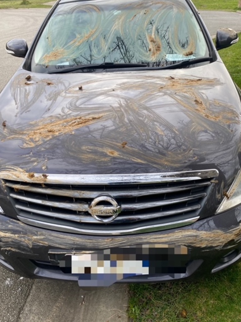 The family returned home one day to find their car covered in what's believed to be dog faeces. Picture: Supplied