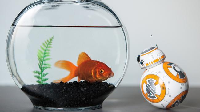 App robot ... Sphero created a <i>Star Wars</i> robot in the BB-8 droid.